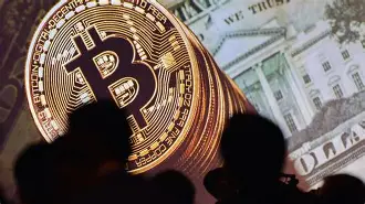 半岛体育官方网站开发者社区动态显示，稳定币成为全球关注焦点的简单介绍