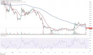 XRP遭遇大幅下滑超215%,投资者恐慌性抛售 XRP遭遇大幅下滑超215%,投资者恐慌性抛售