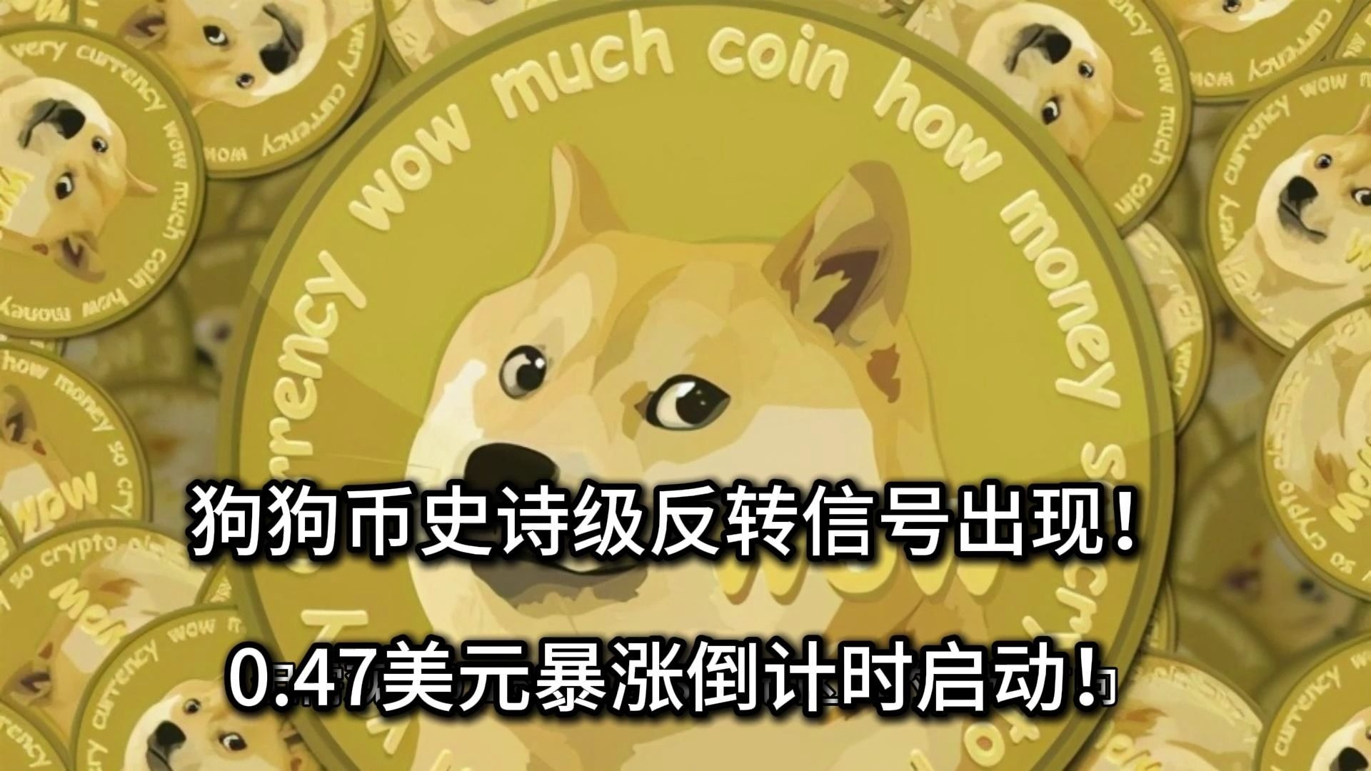 半岛体育APP狗狗币打破年内纪录，飙升幅高达币安%，还还值得跟进吗？，引发热议的简单介绍