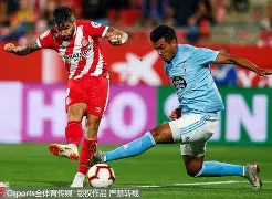 西甲维戈塞尔塔